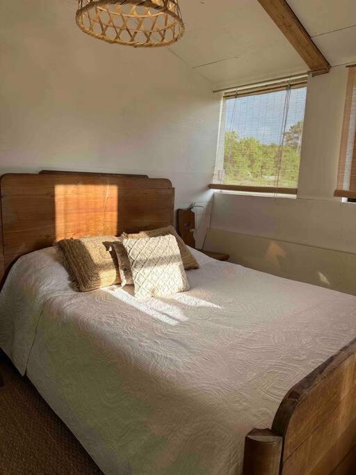 Cosy Cabane Boise Solaire, Balneo Bath Et Toilette Seche A La Ferme Mimizan Ngoại thất bức ảnh